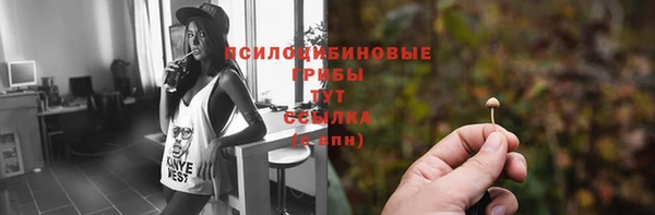 стафф Алзамай