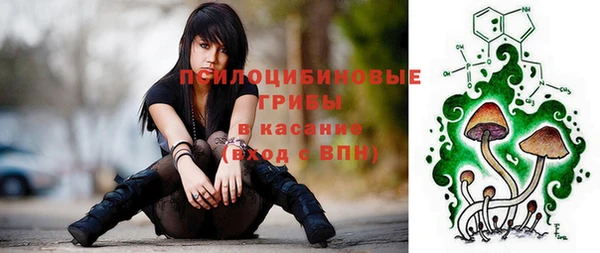 стафф Алзамай